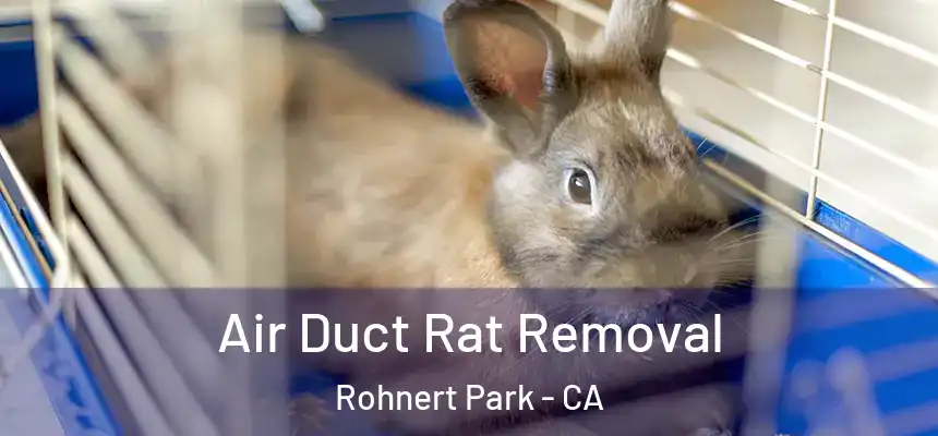 Air Duct Rat Removal Rohnert Park - CA