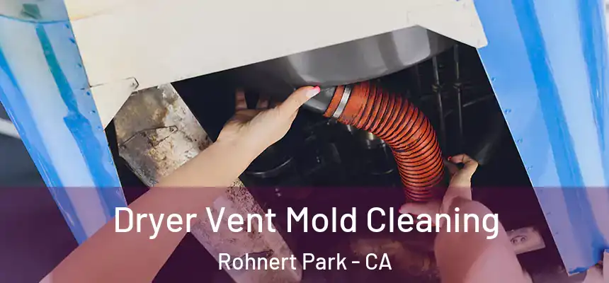 Dryer Vent Mold Cleaning Rohnert Park - CA
