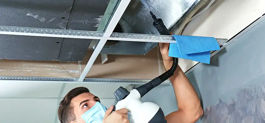 Our Air Duct Rodent Removal Services in Rohnert Park, CA