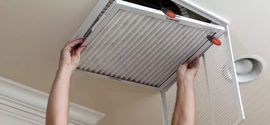 Our Insect Removal from Air Ducts Services in Rohnert Park, CA