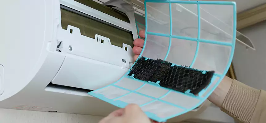 Gentle Ductwork Odor-Control Pet Dander Duct Cleaning in Rohnert Park, CA