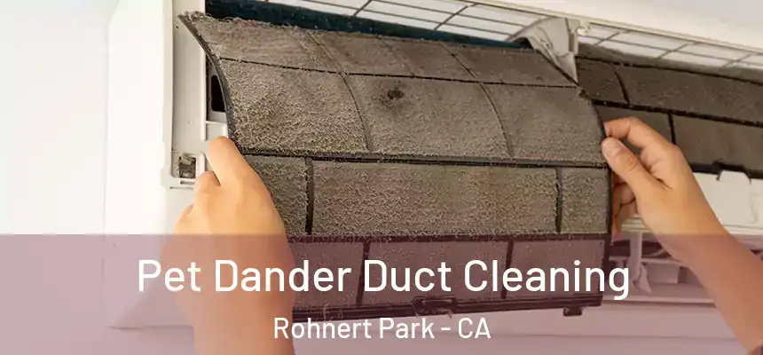 Pet Dander Duct Cleaning Rohnert Park - CA