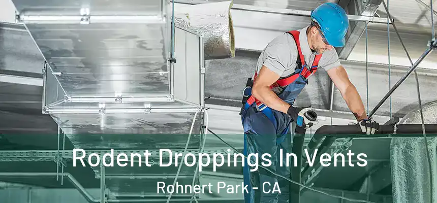 Rodent Droppings In Vents Rohnert Park - CA