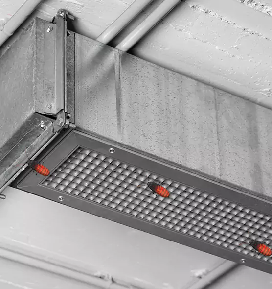 About Air Duct Cockroach Removal in Rohnert Park, CA