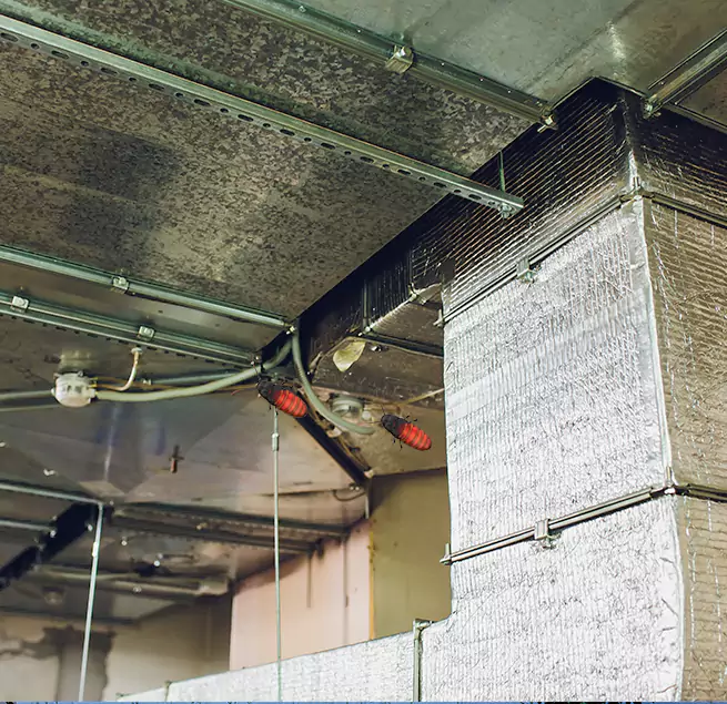 Why Homeowners & Businesses Trust Us in Rohnert Park, CA?