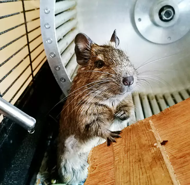 Why Homeowners & Businesses Trust Us Rohnert Park, CA