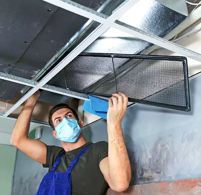 Why Homeowners Businesses Trust Us in Rohnert Park, CA