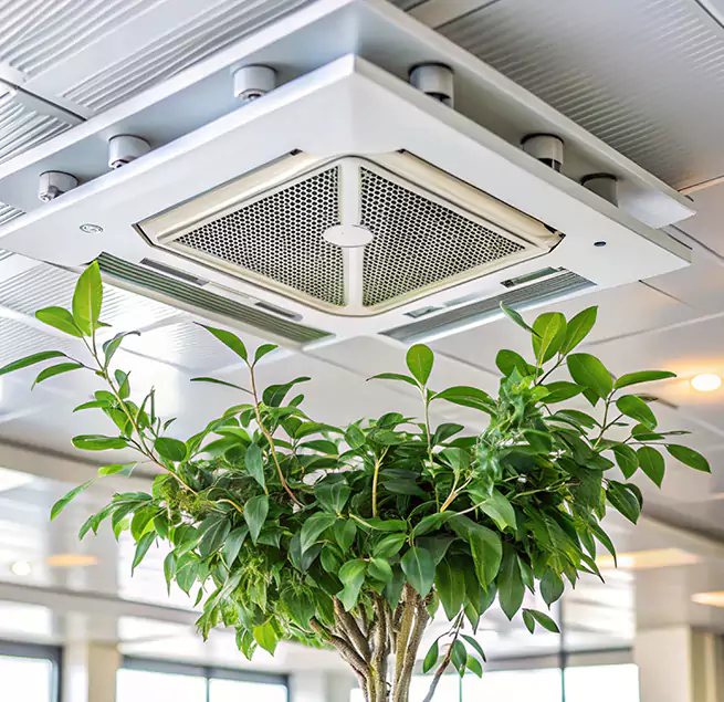 Why Homeowners & Businesses Trust Us in Rohnert Park, CA