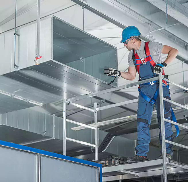 Why Homeowners Businesses Trust Us in Rohnert Park, CA